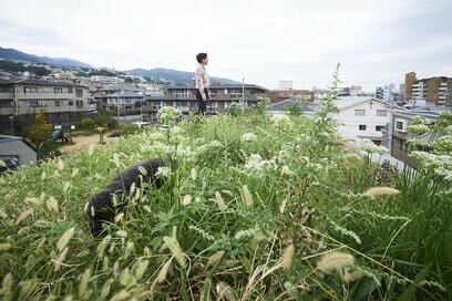 【注文住宅事例】その家の屋根には花が咲いていました。草屋根建築家の自邸
