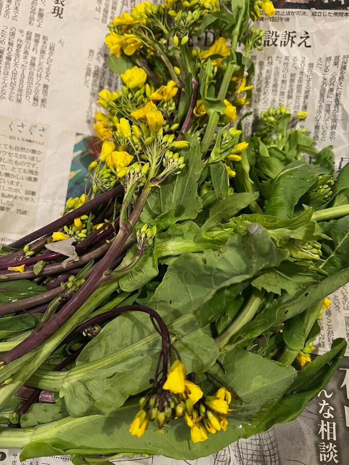野菜