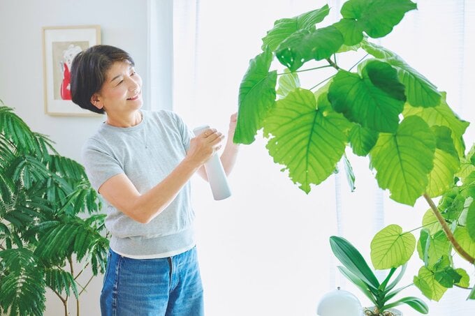 観葉植物に水をやる女性