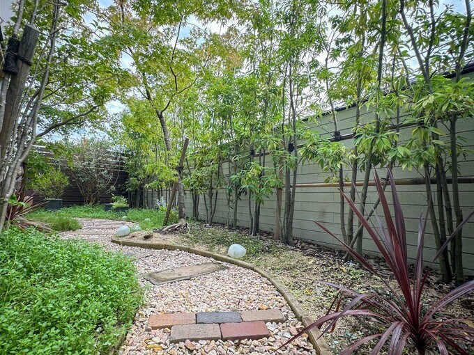 塀沿いに植えた木々