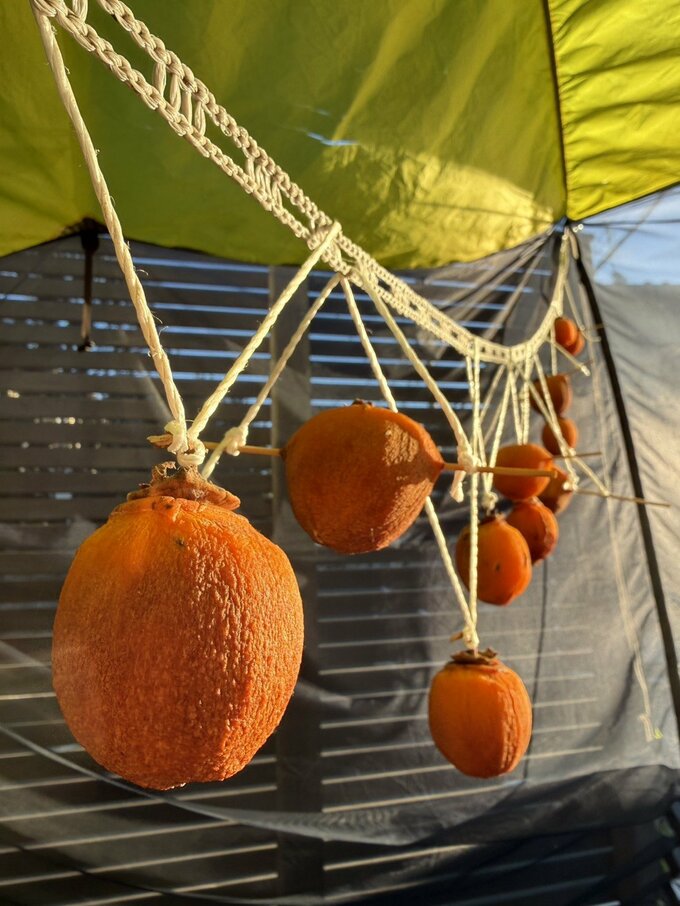 数日たったあとの干し柿