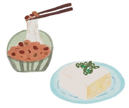 植物性タンパク質