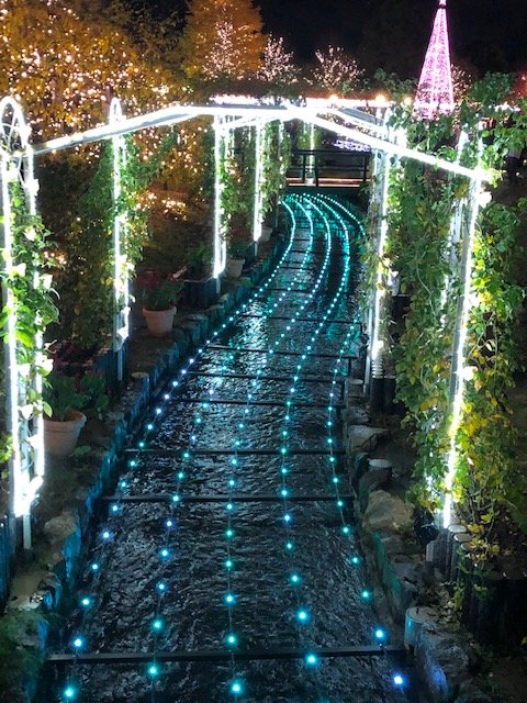 水の上のイルミネーション