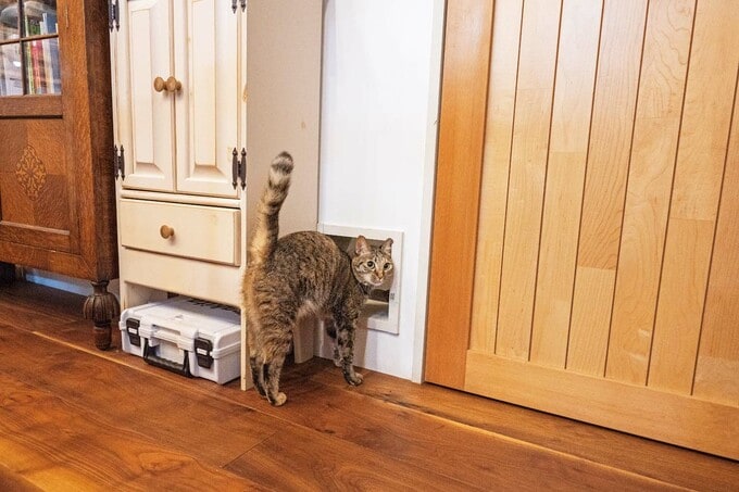 アトリエのネコトイレへ通じるネコドア
