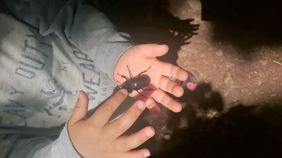 苦手なものが克服できた