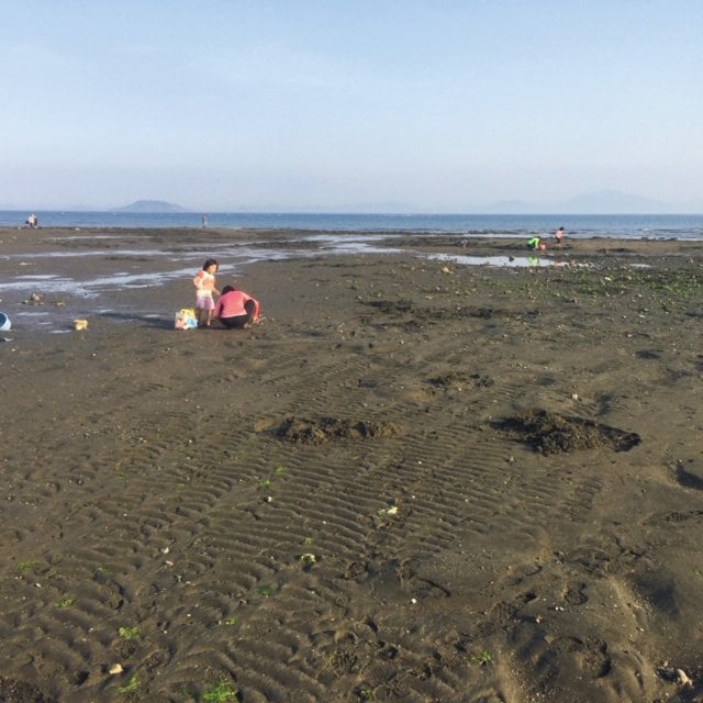 貝堀り