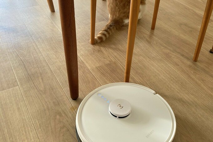 お掃除ロボと猫