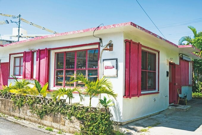 プルーツの外観