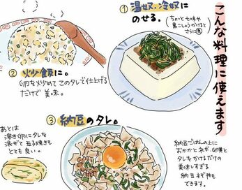 ネギの青い部分でつくる万能調味料。納豆やおにぎりに最高