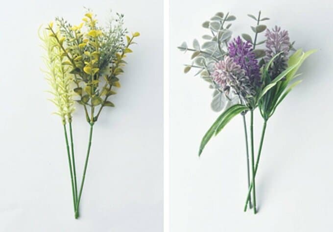 ガーデンハーブ