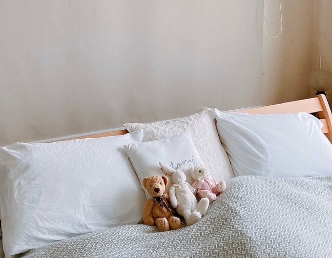 写真：自宅の枕