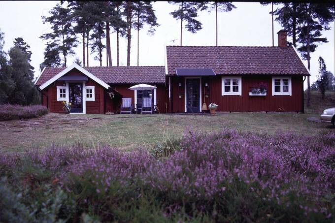 花の後ろに小屋