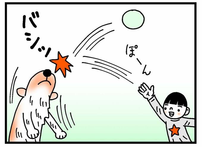 犬にボールを投げる様子
