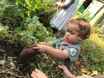 次のトレンドは「ファームキャンピング」！夏休みに子どもと新しいアウトドアを