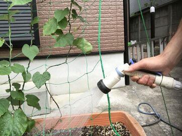 夏の植物を元気にする「水やり」！ホース使いでやりがちな間違いは？