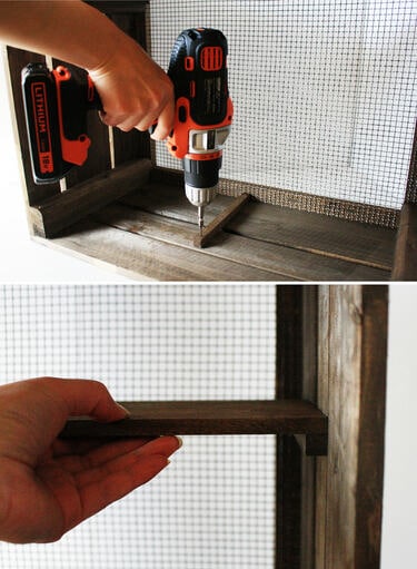 キャベツボックス