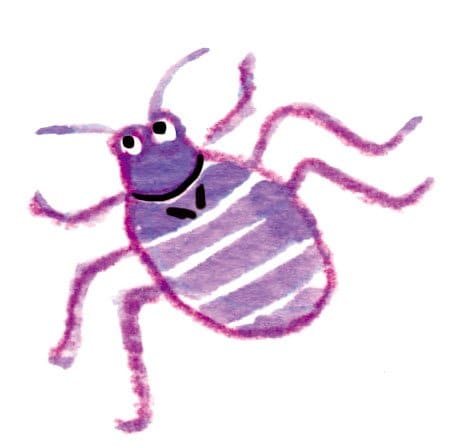 イラストトコジラミ