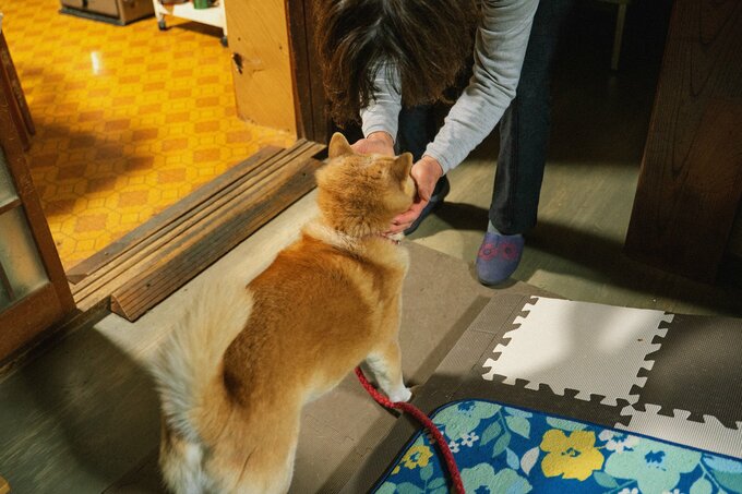 母に撫でられる犬