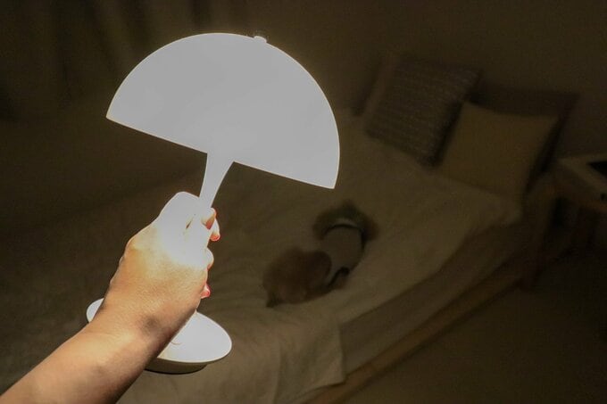 手に持った様子