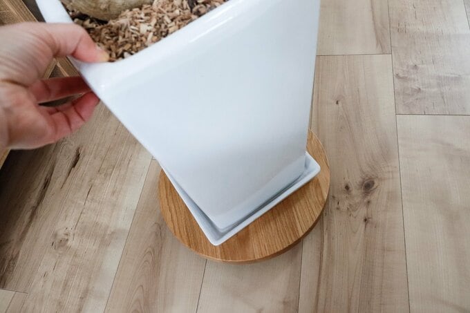 プラントベースアップ写真