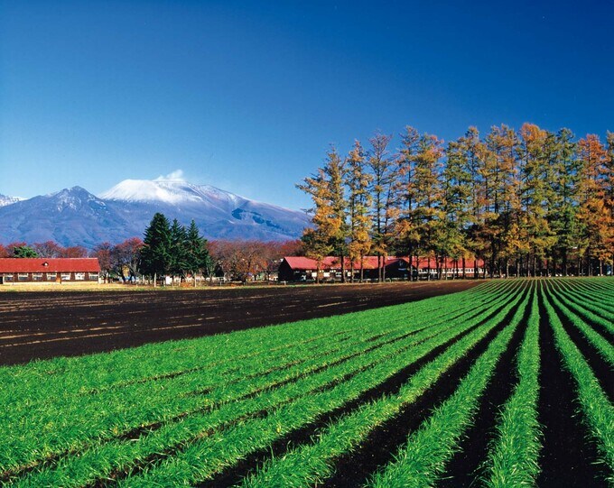 野沢エリアにある家畜改良センター