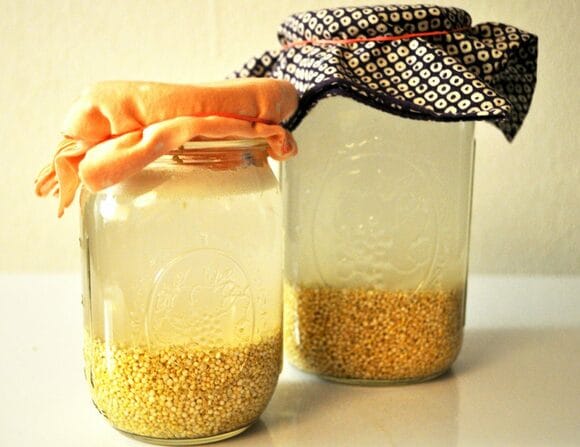 発酵製品がアメリカで人気