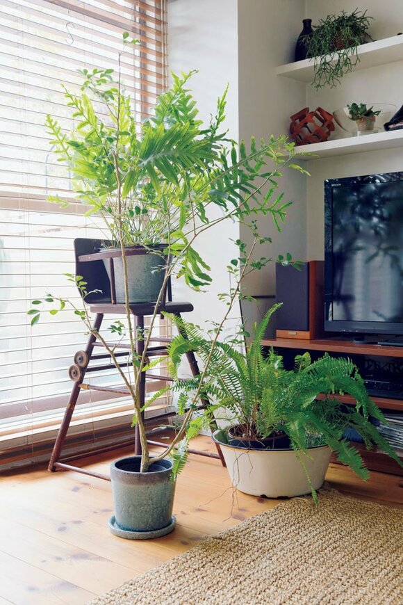 台を使って高低差を出す