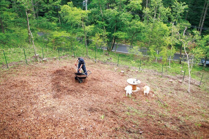 ドッグランの以前の状態