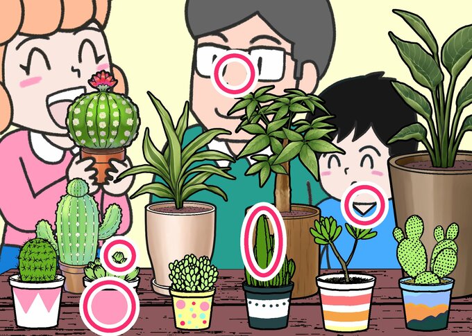観葉植物答え合わせ