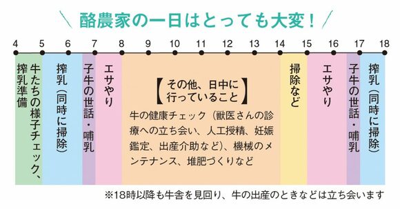 中央酪農