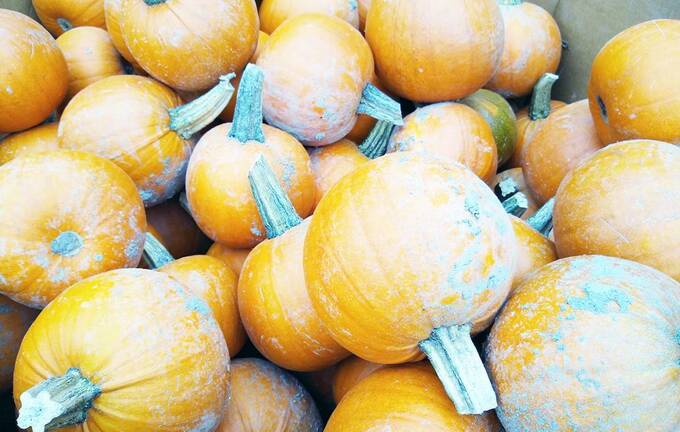 2019年のトレンド