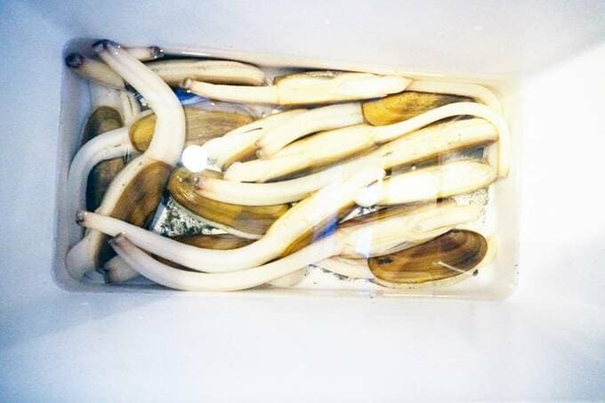 四角い容器にレザークラム