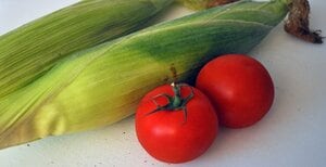 空前のオーガニックブーム