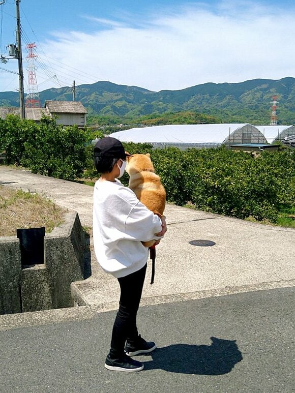 抱っこされてる犬