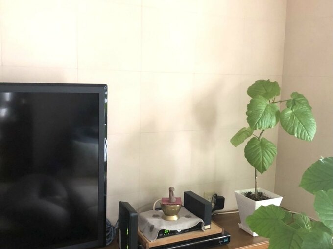 テレビの背面の壁