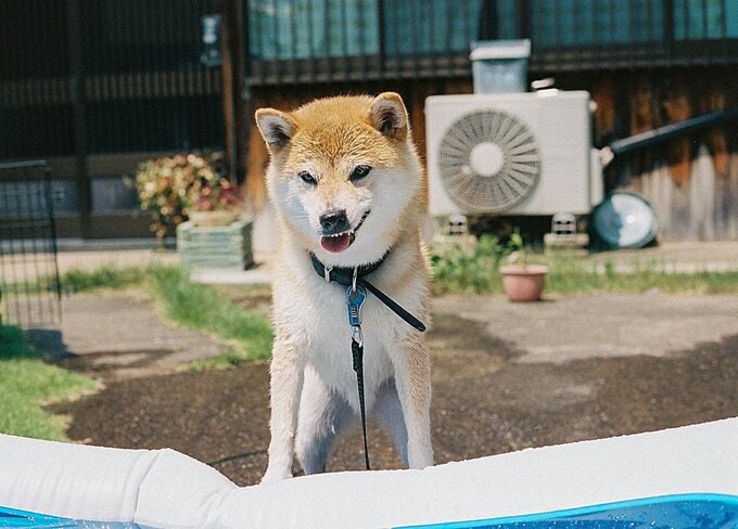 写真の制作活動や仕事で遠方に出向くことは時々ある