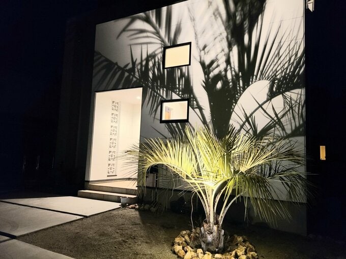 ココスヤシのライトアップ