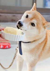 欠けることなくきれいなスポンジが中からあらわれてきた