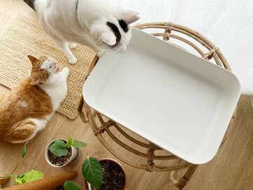 「無印良品週間」で買いたいアイテム7つ。家じゅうに74種の愛用品があるムジラーが厳選