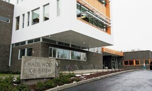 (写真:hazelwolf E-STEMプログラムが好評の幼・小・中一貫校、シアトルのヘーゼル・ウルフ・スクール)