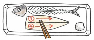 下身の上半分から下半分へ