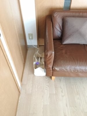 ソファとバスケット