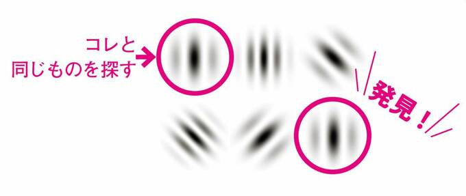 やり方とトレーニングのポイント