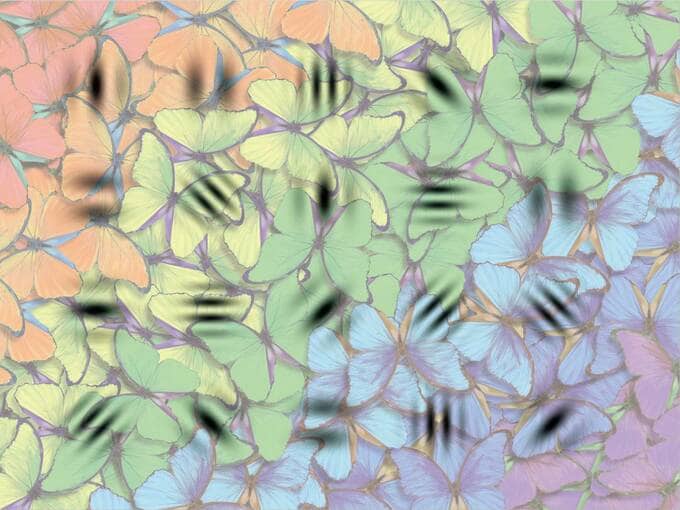 カラフルな写真のなかに、ガボールパッチが並んでいます