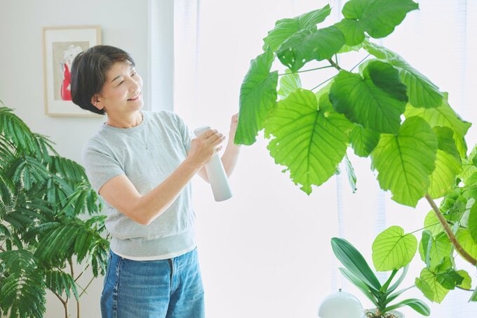 観葉植物の世話をする中道あんさん