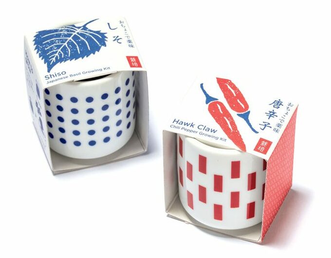 おちょこで薬味栽培セット