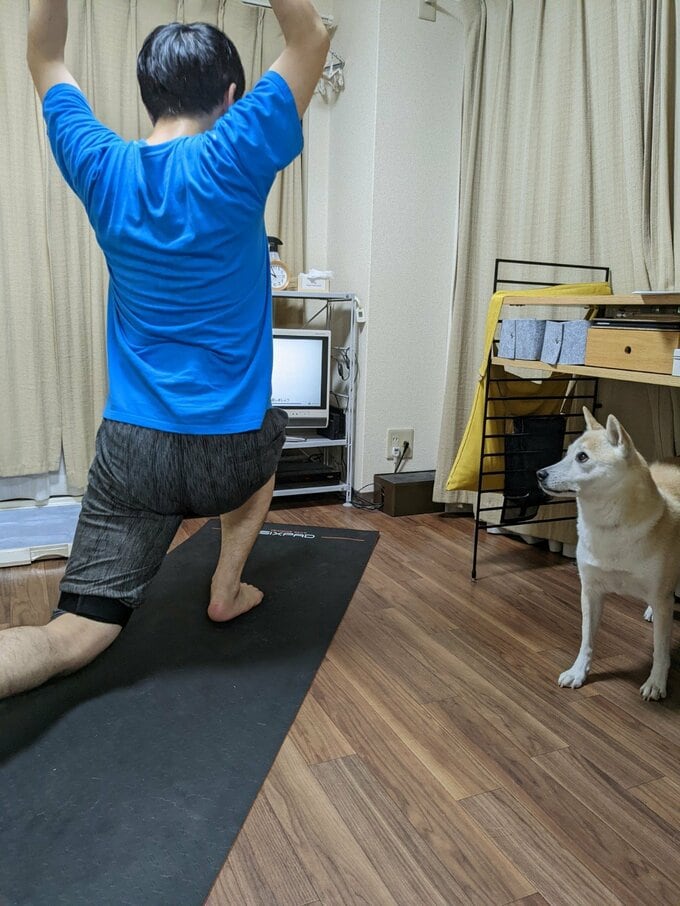 戸惑うふうちゃん