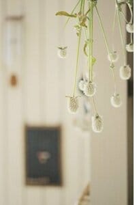 “光”の上手な使い方