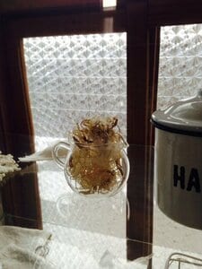 ガラス素材でサイズも小さいミルクピッチャー