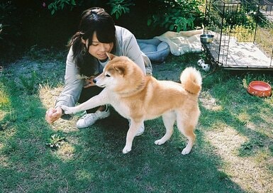 ＜inubot回覧板＞第6回　2018年、いちばんうれしかったこと